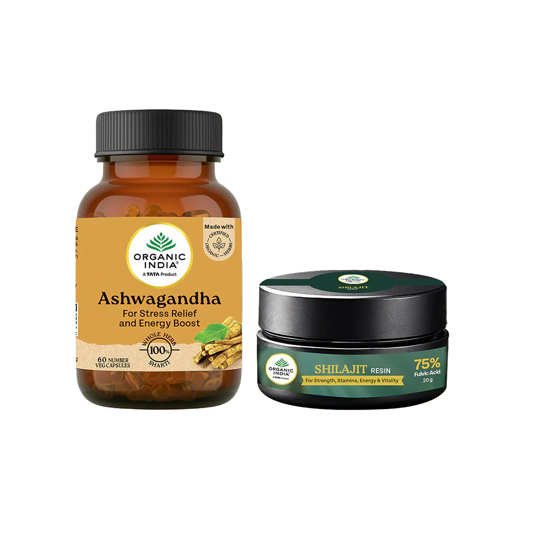 New Launches